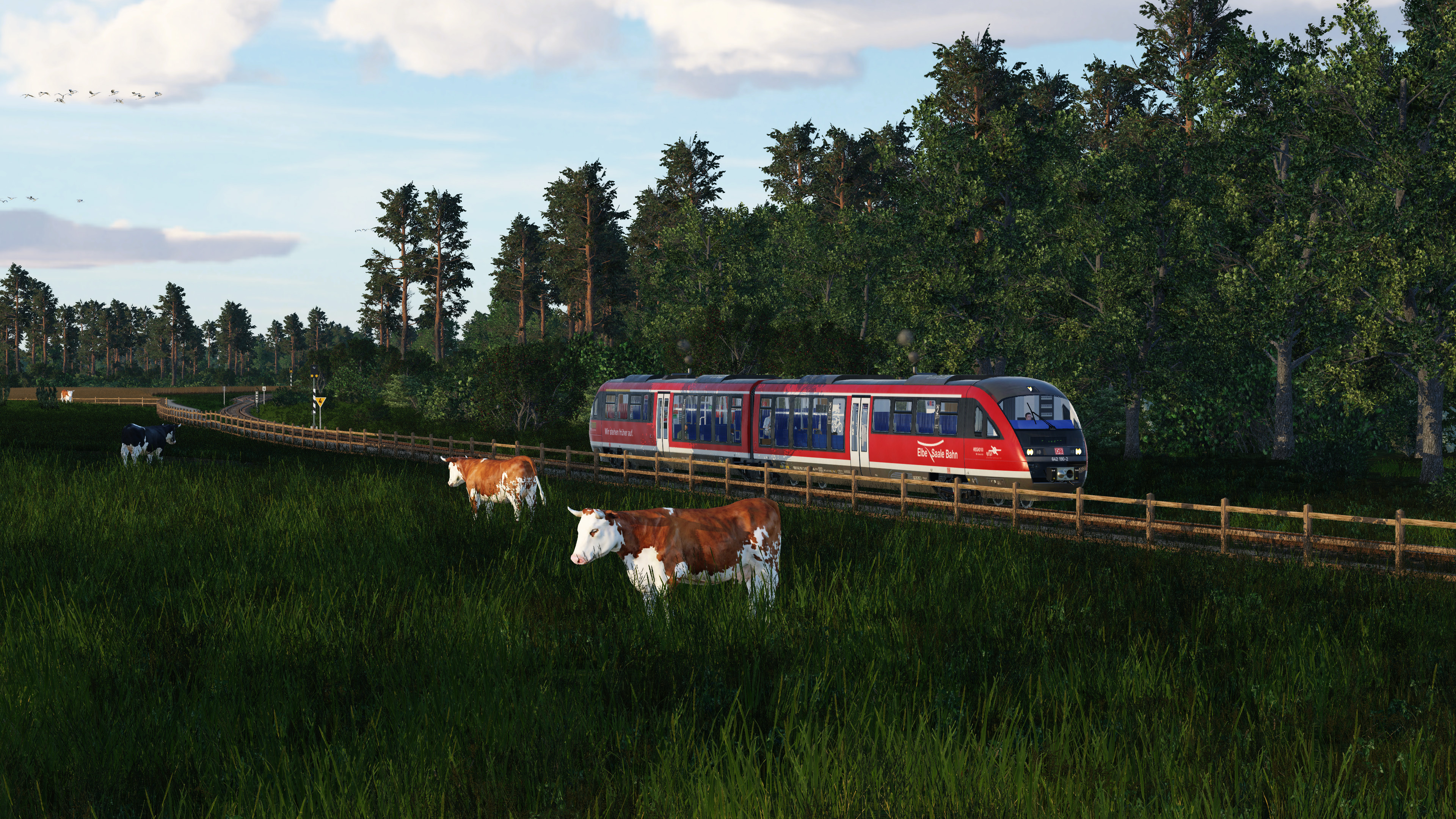 VT 642 und Kühe