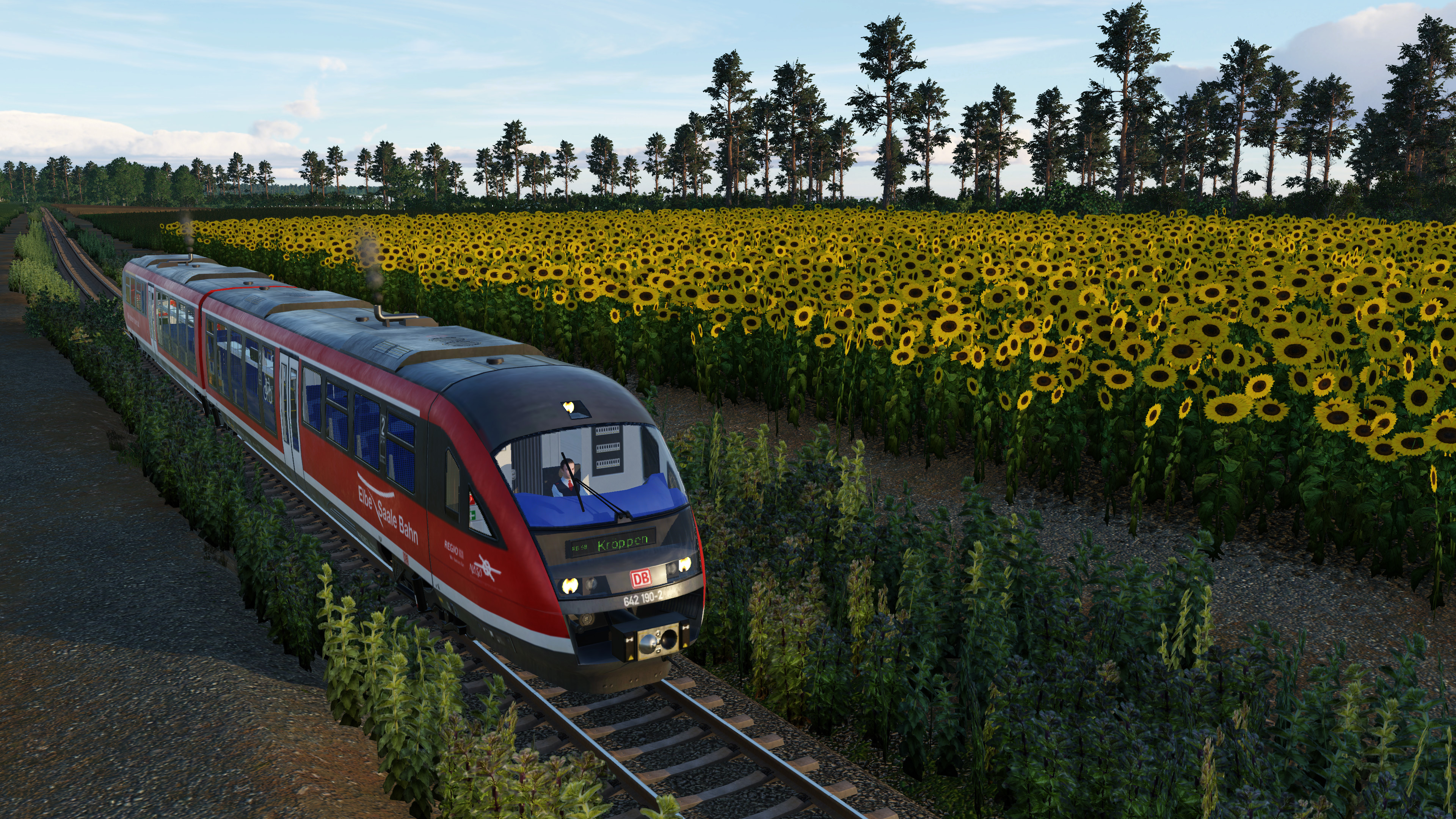 "Wir stehen früher auf" für die Blume