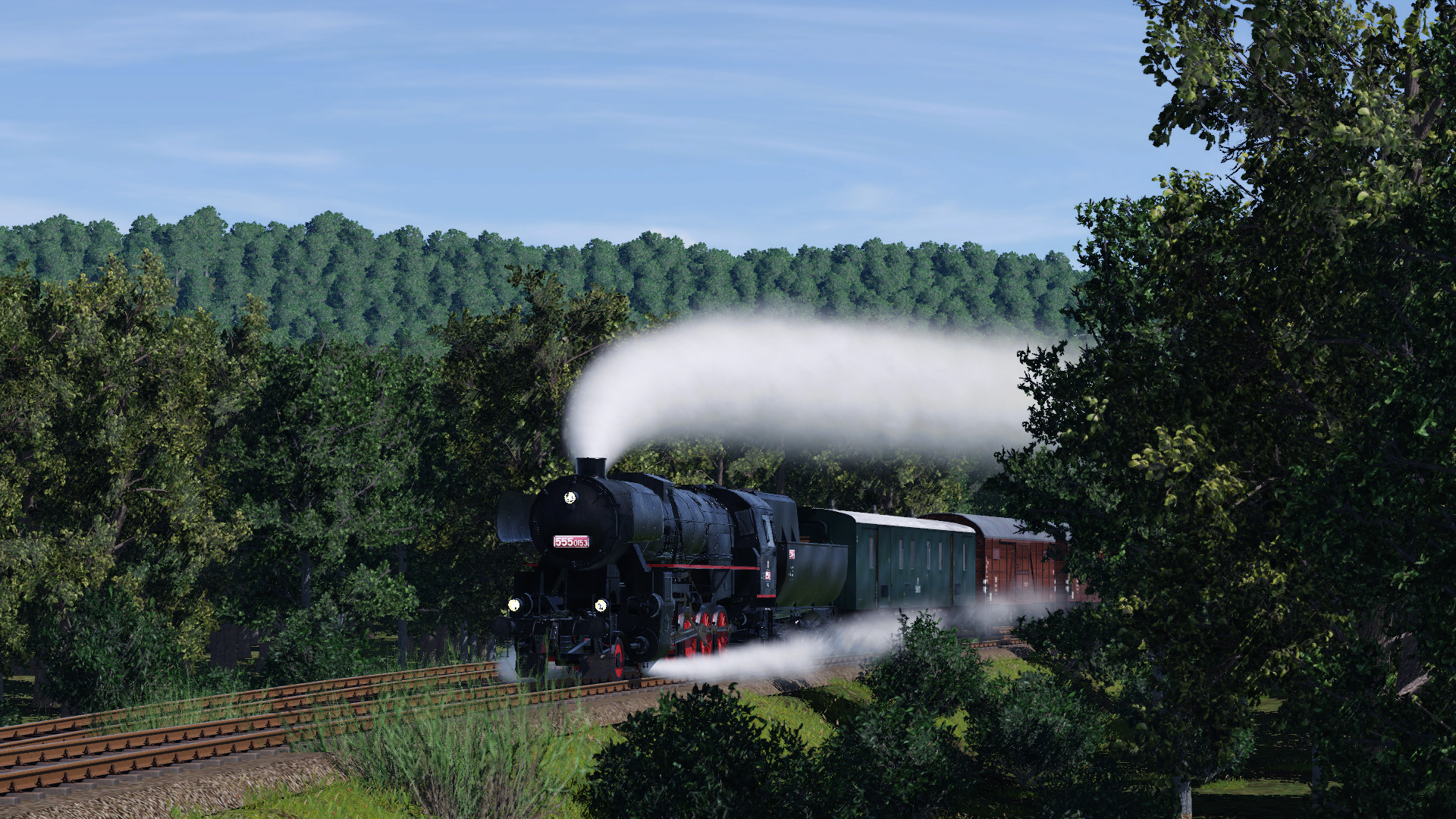 555 0153 in the forest