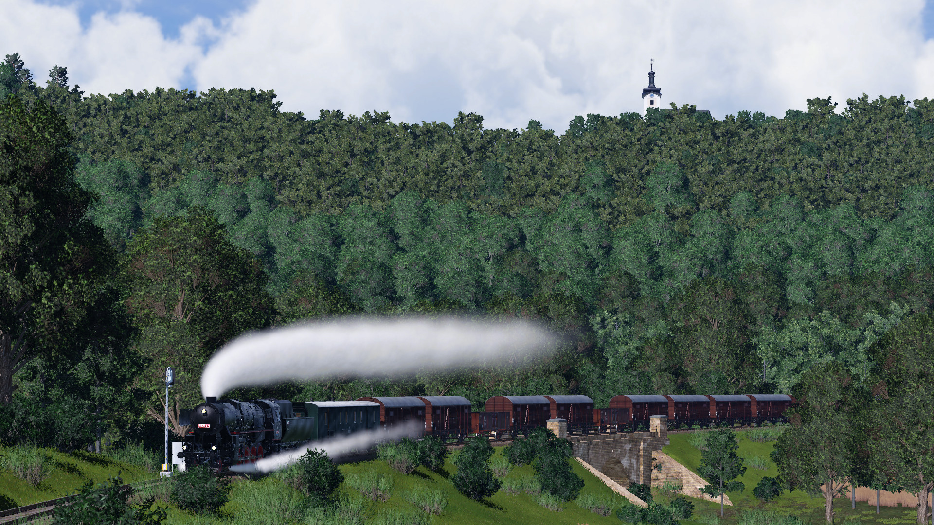 555 0153 in the forest