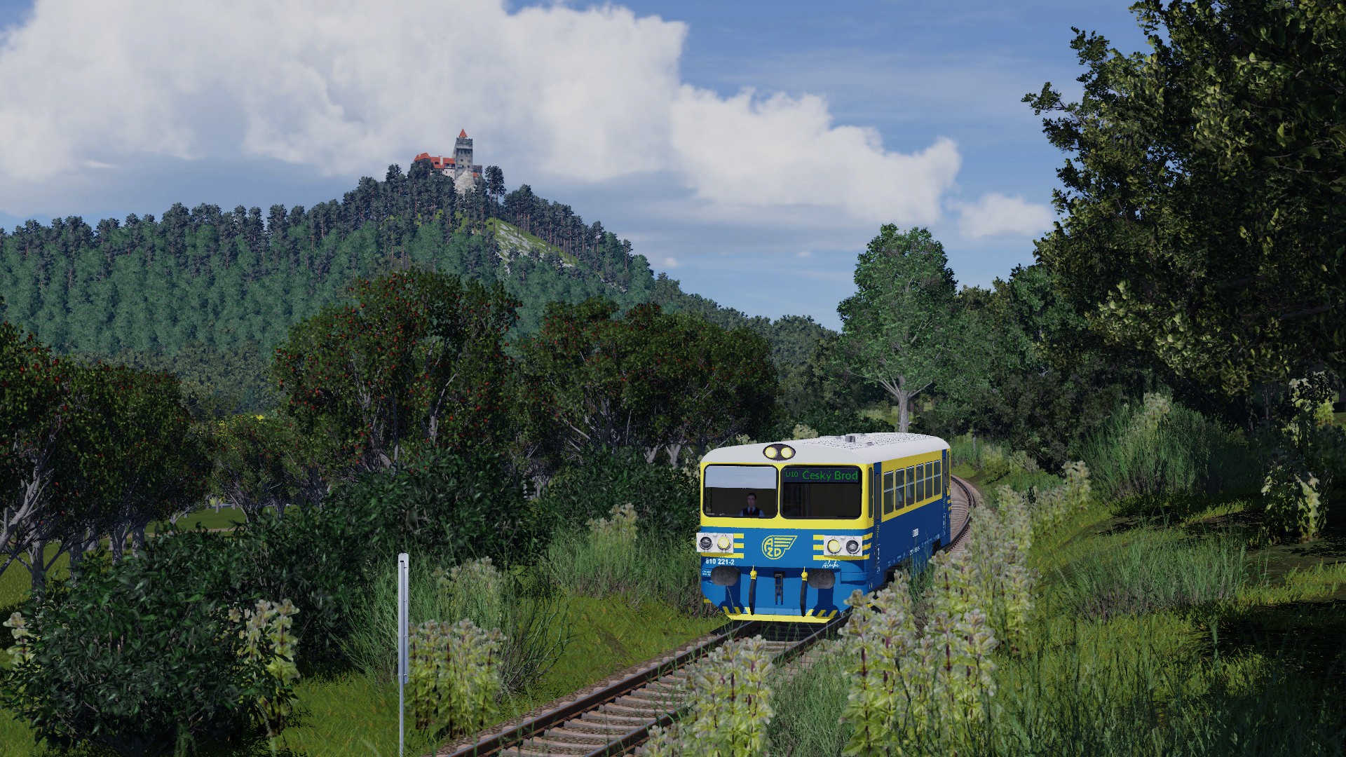 810 221-2