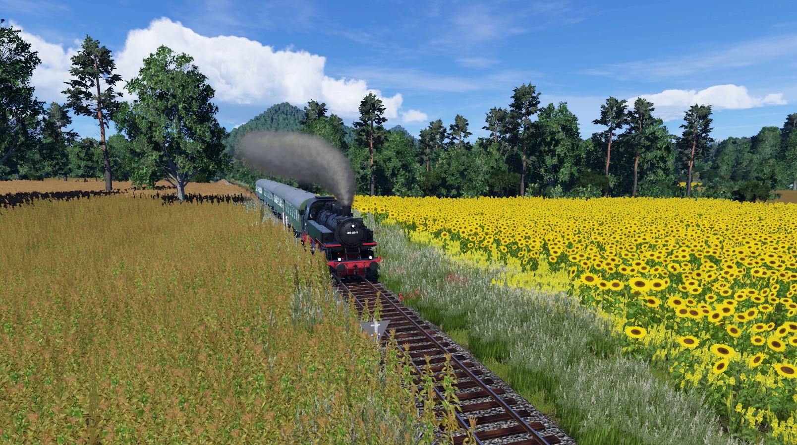 Sonderzug Sommersbergbahn