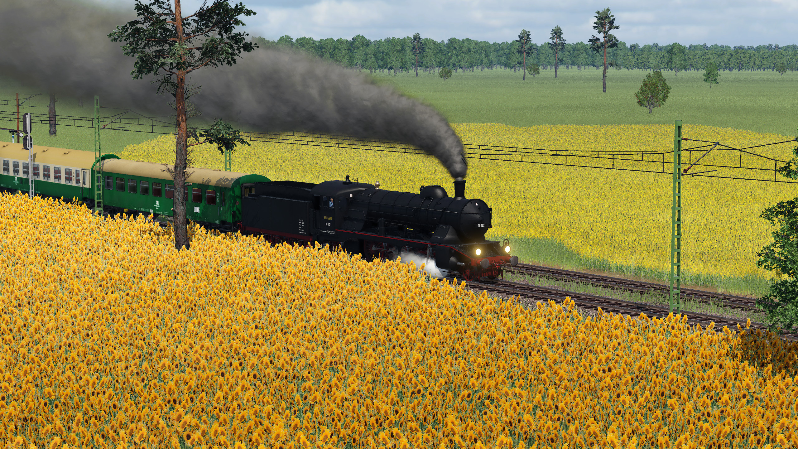Interzonenzug