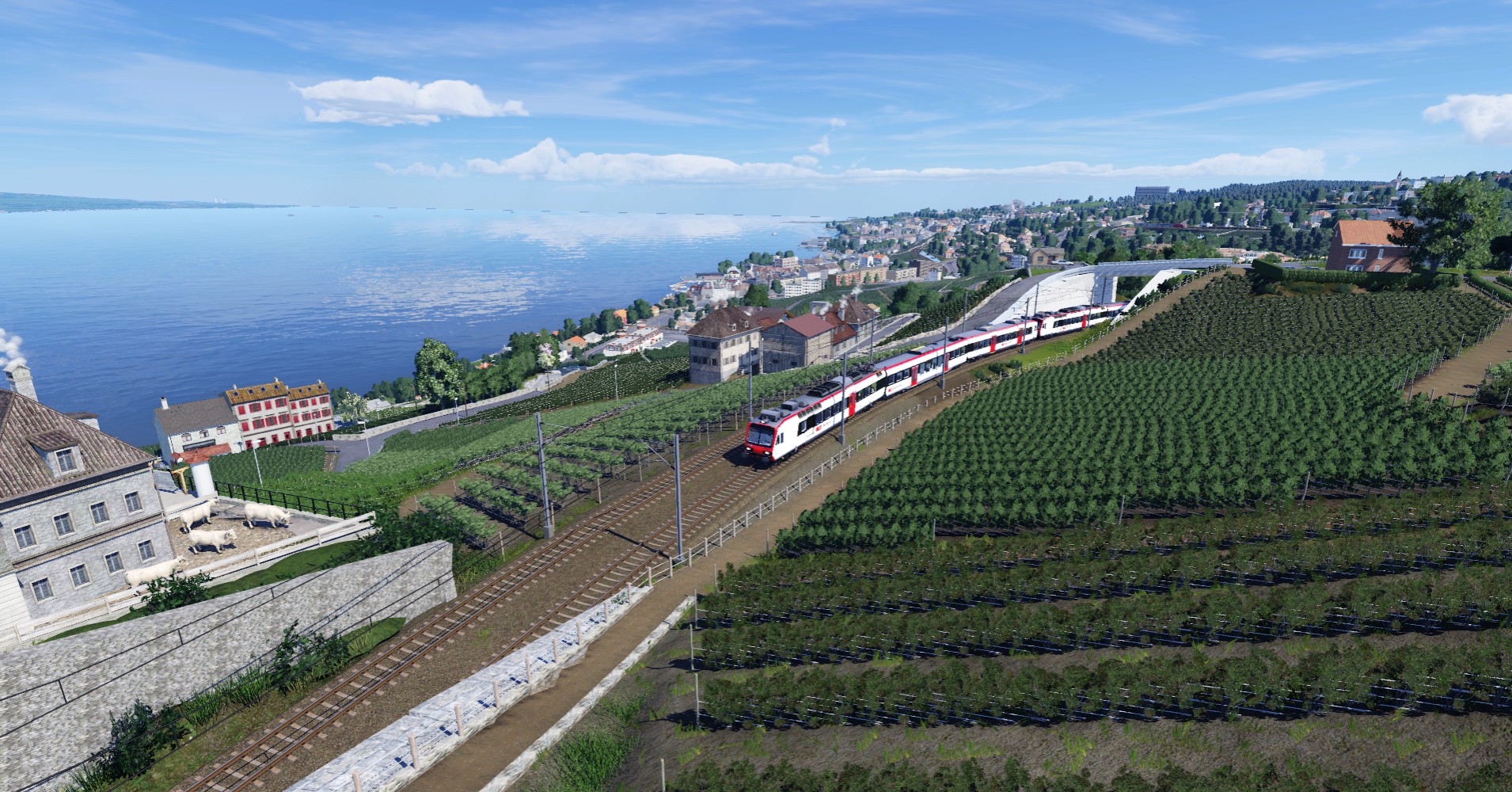 Une petite balade en train quelque part dans le Lavaux