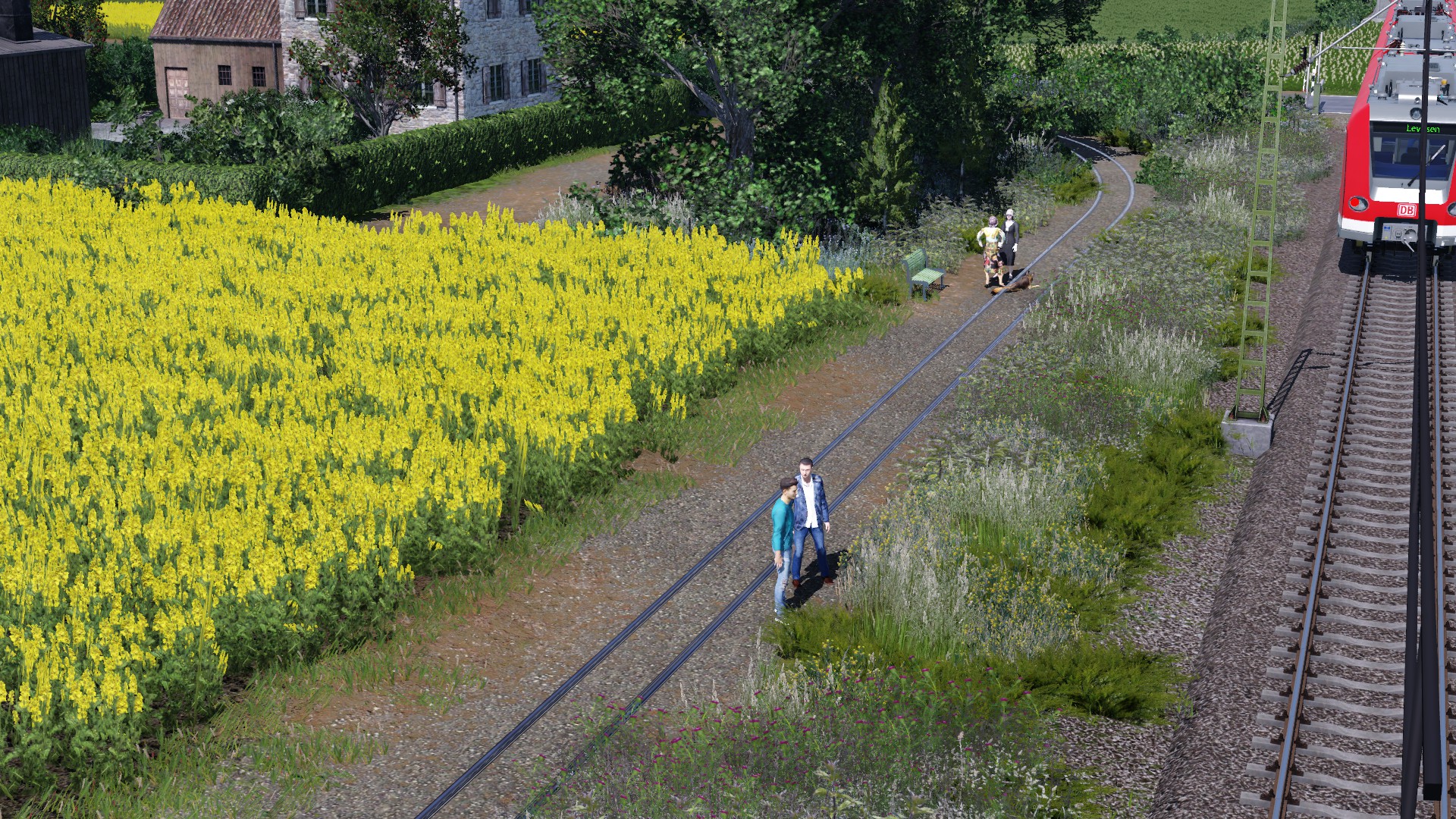 Die alte Tramtrasse die seit 1965 als Wanderweg genutzt wird