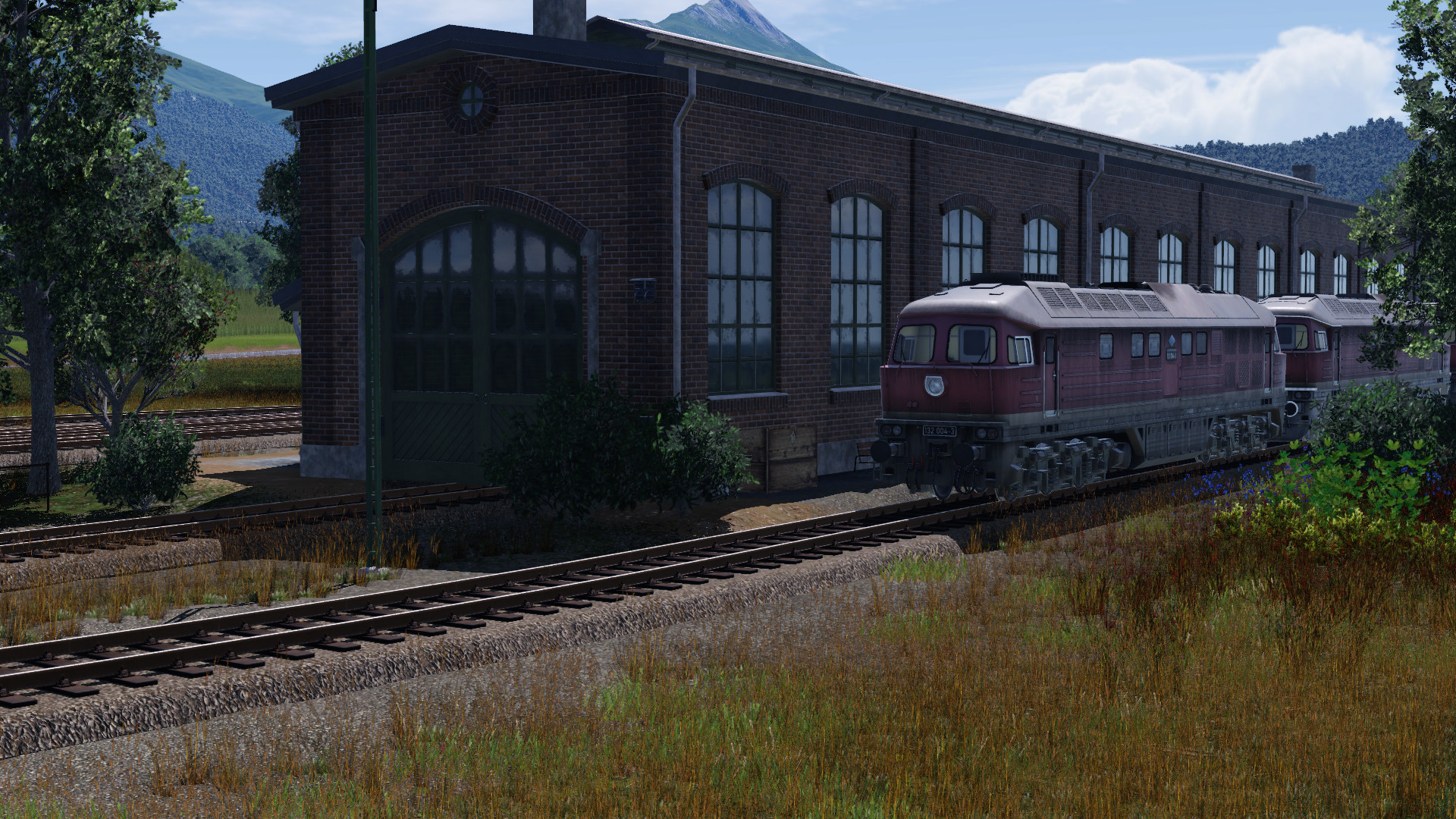 BR 132 & co als gealtertes Asset #3