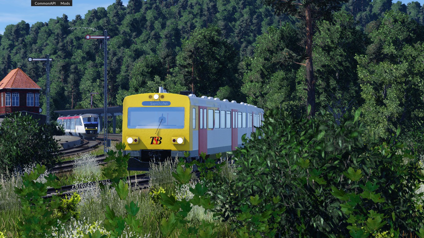 Gut gepflegte Nebenbahn :D