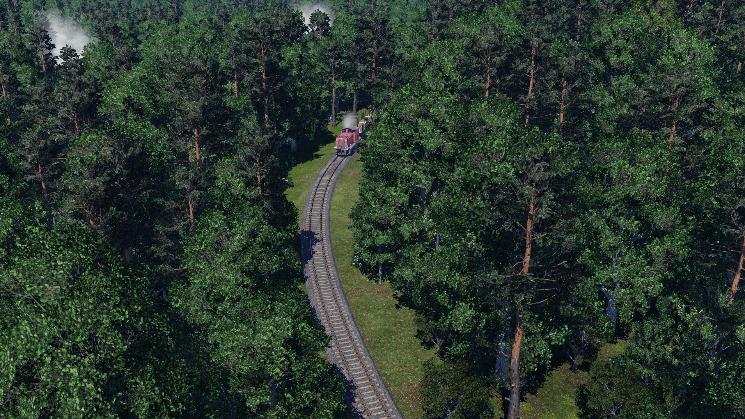 Vom Wald zum Sägewerk 01