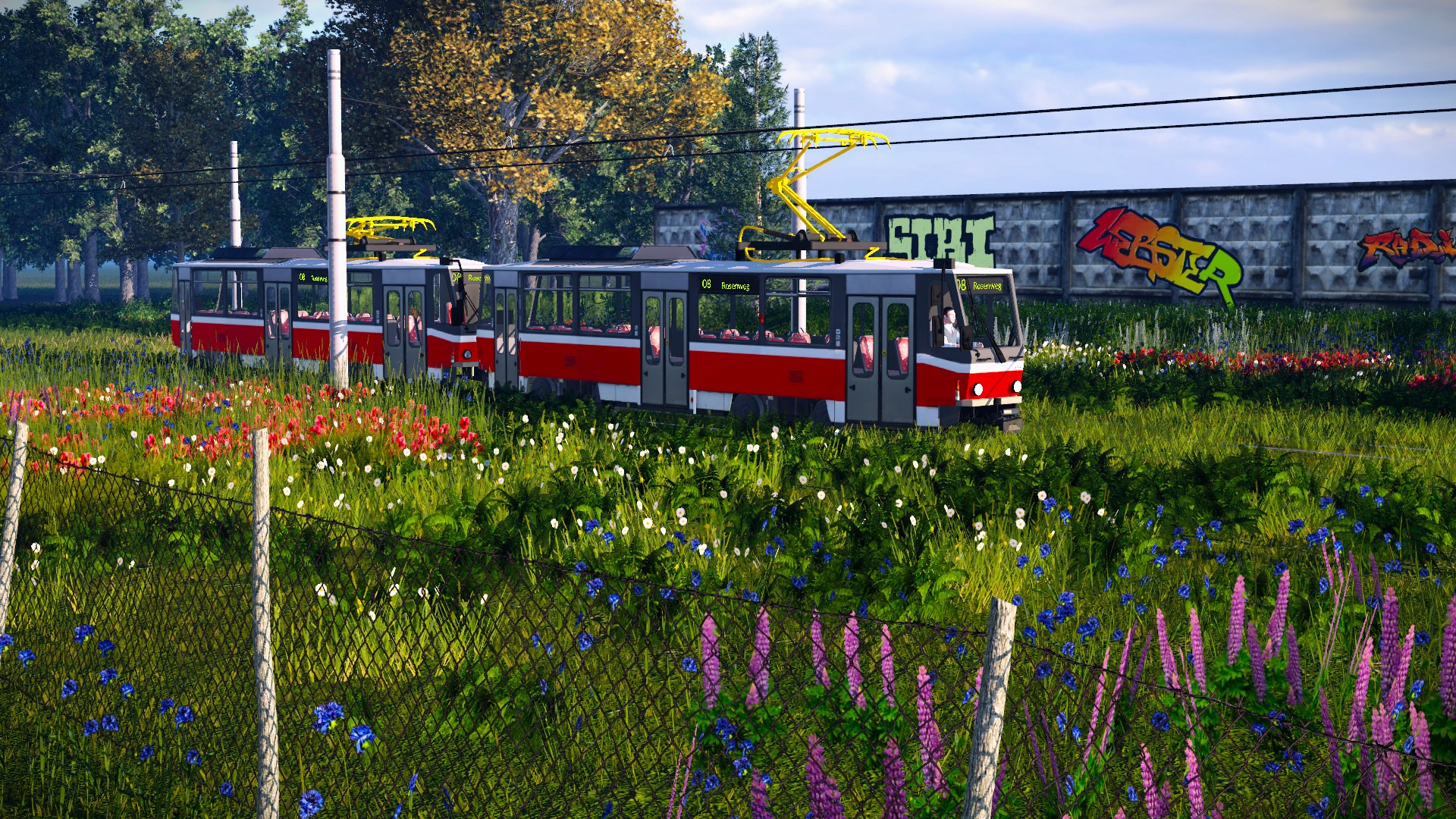 Tram tru the backyard?!