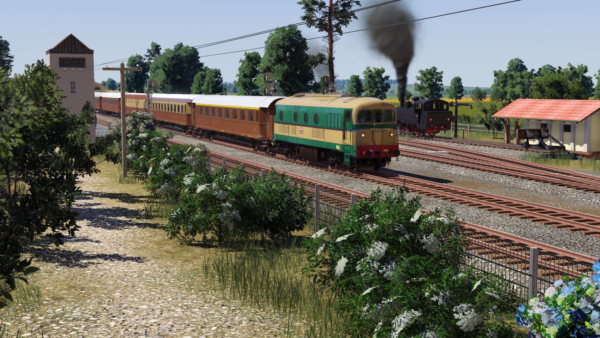 Diesel rapid train