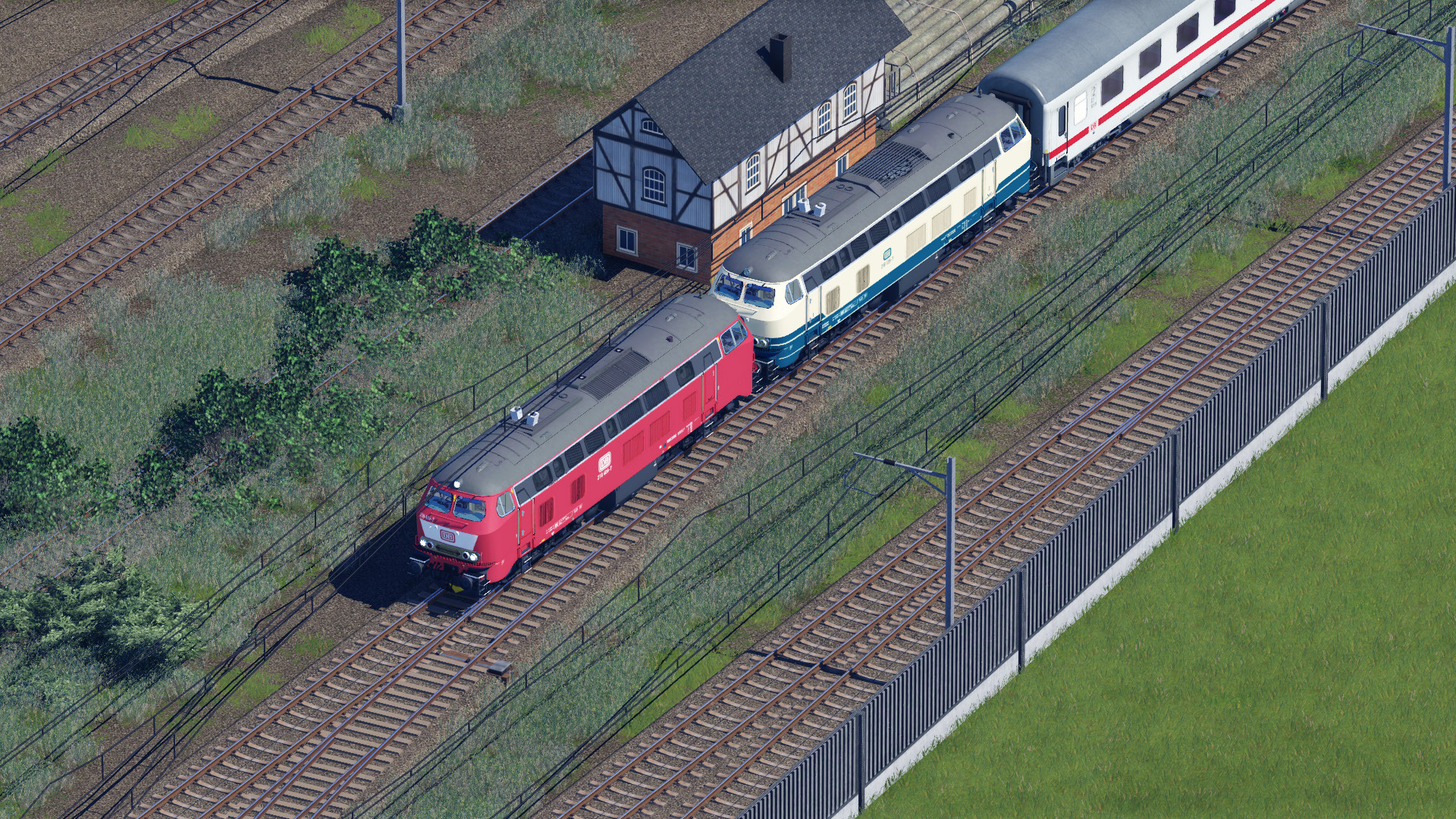 Neuzugänge