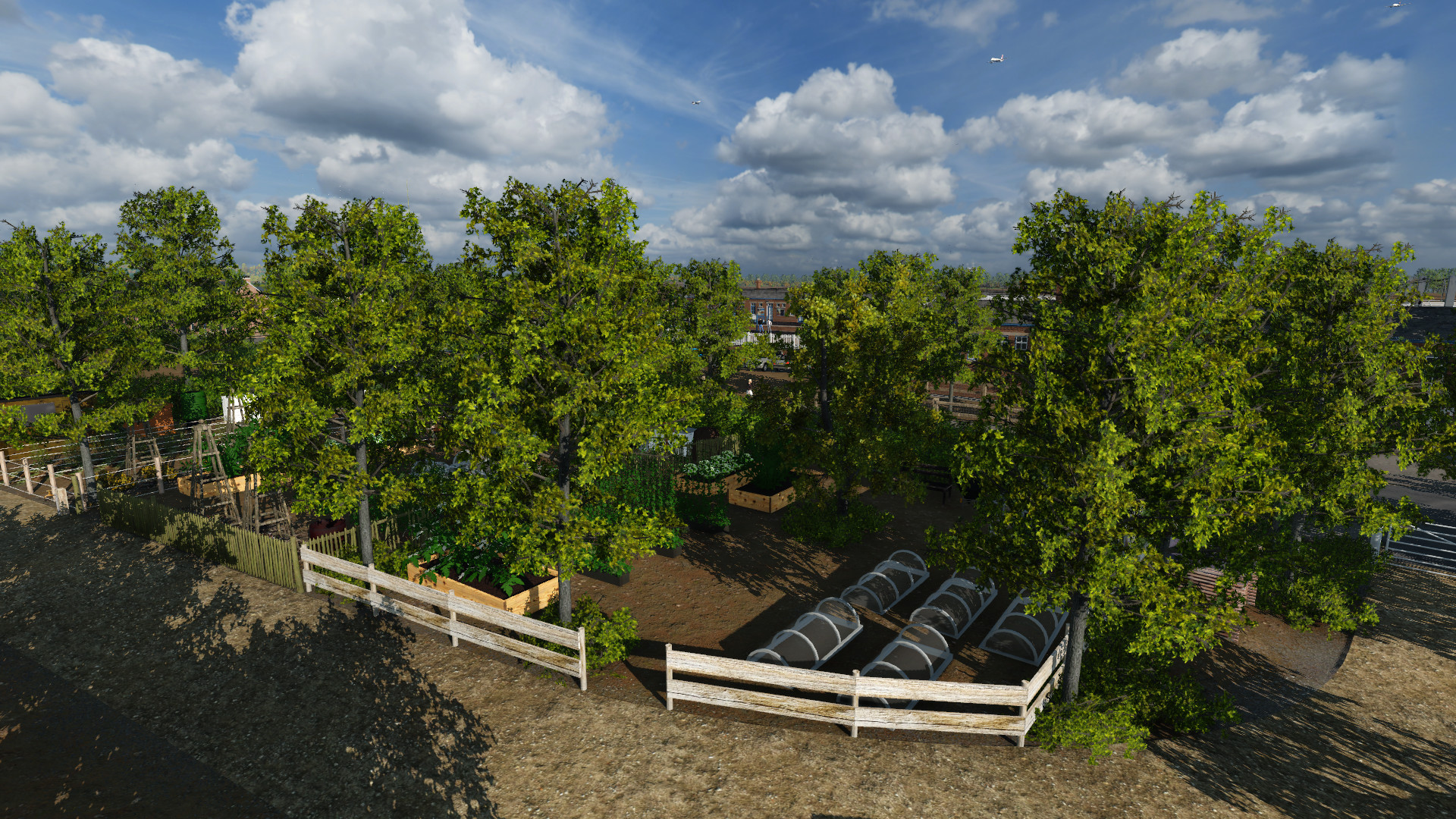 Tuesday Morning Detailing