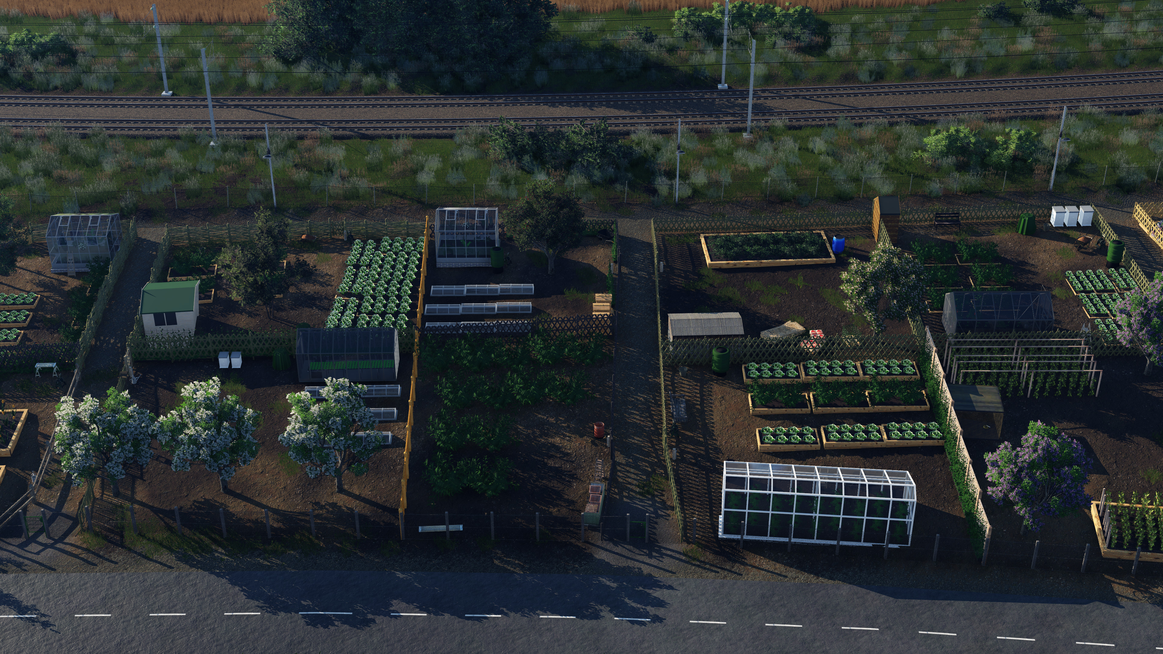 Shared Garden 2
