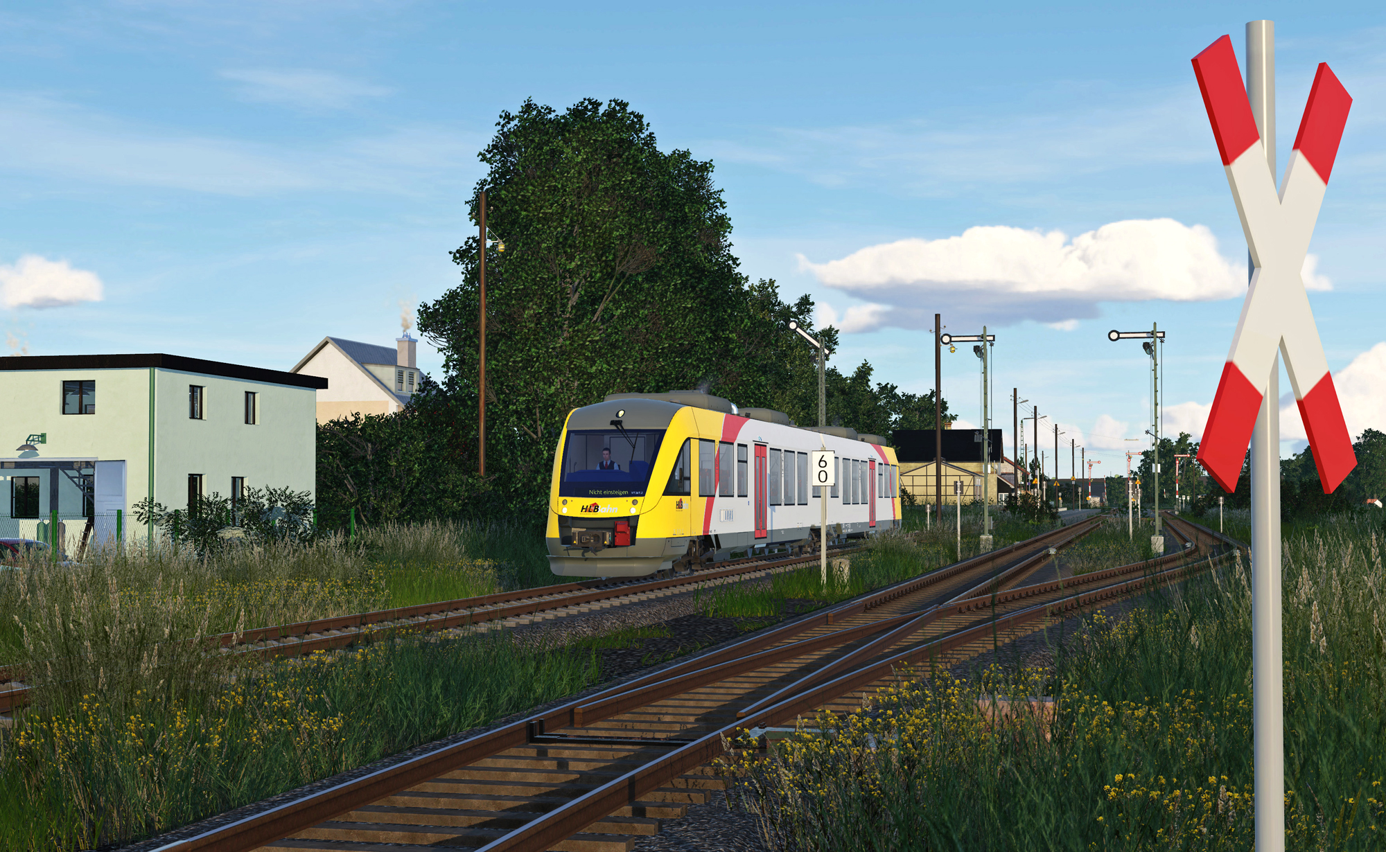 RB29446 in FBEI