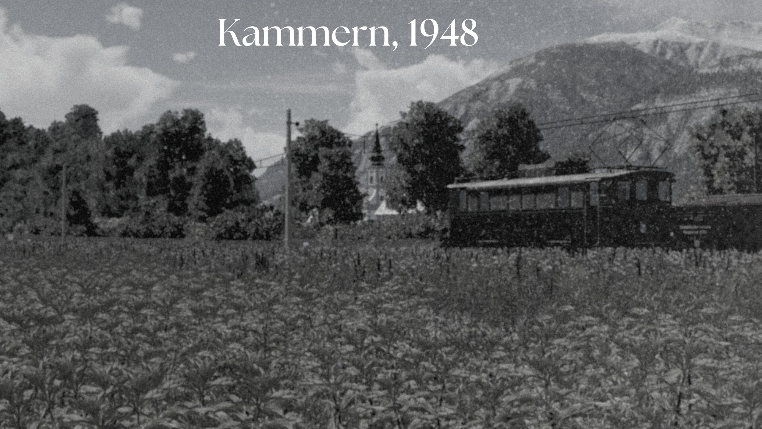 Güterzug vor Kammern