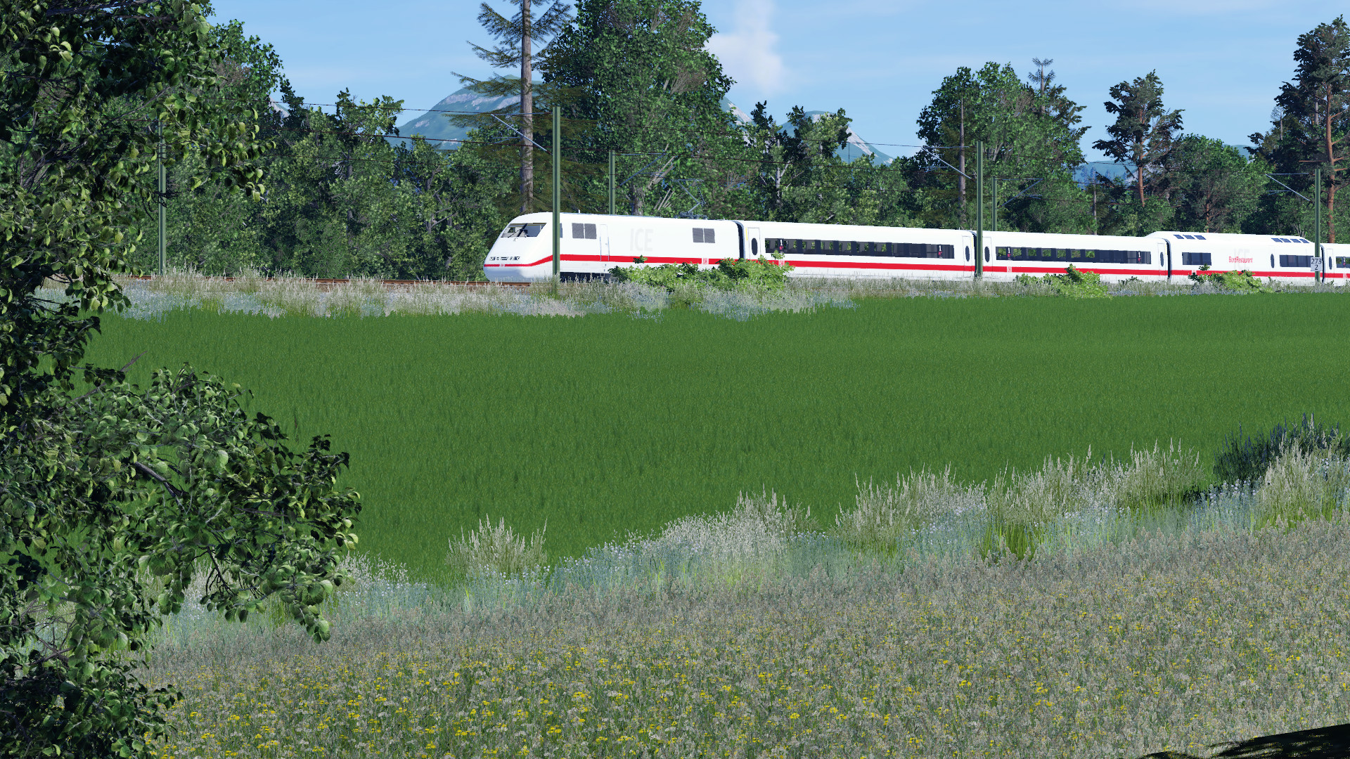 Neues von der Schnellfahrstrecke