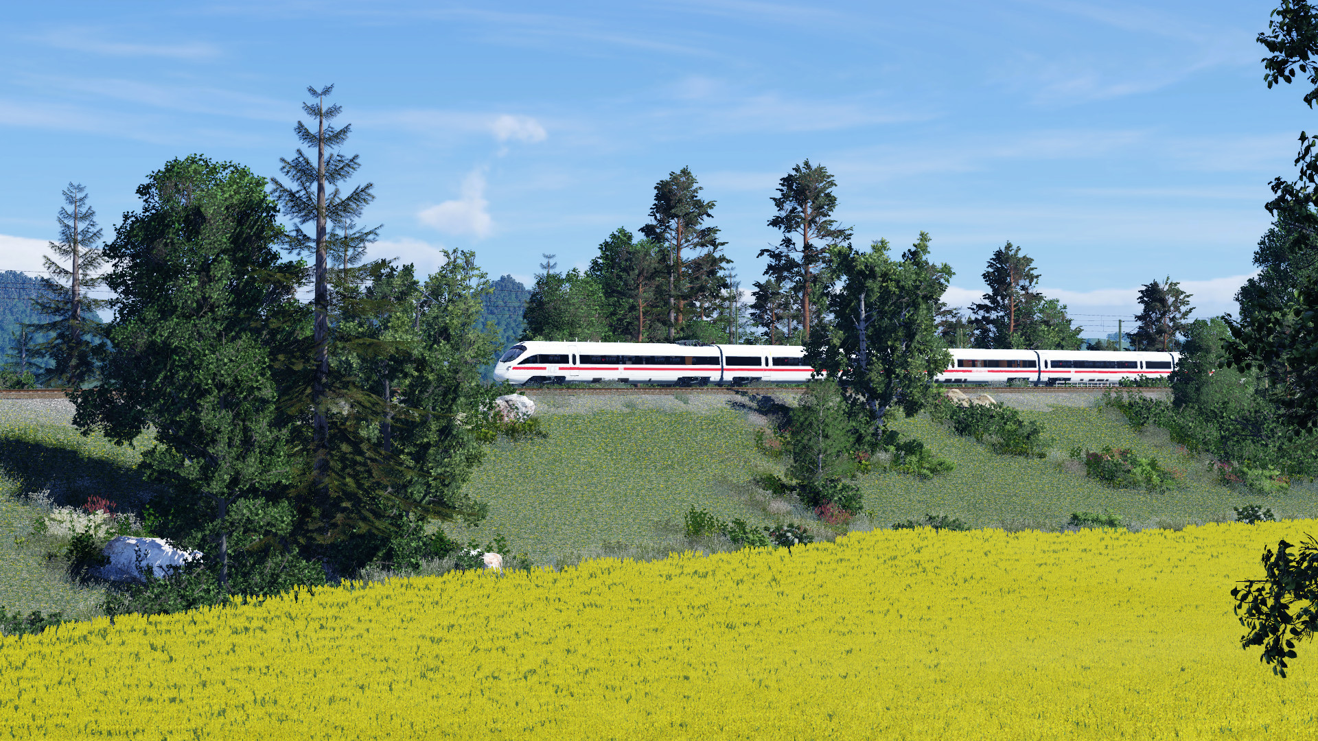 Neues von der Schnellfahrstrecke