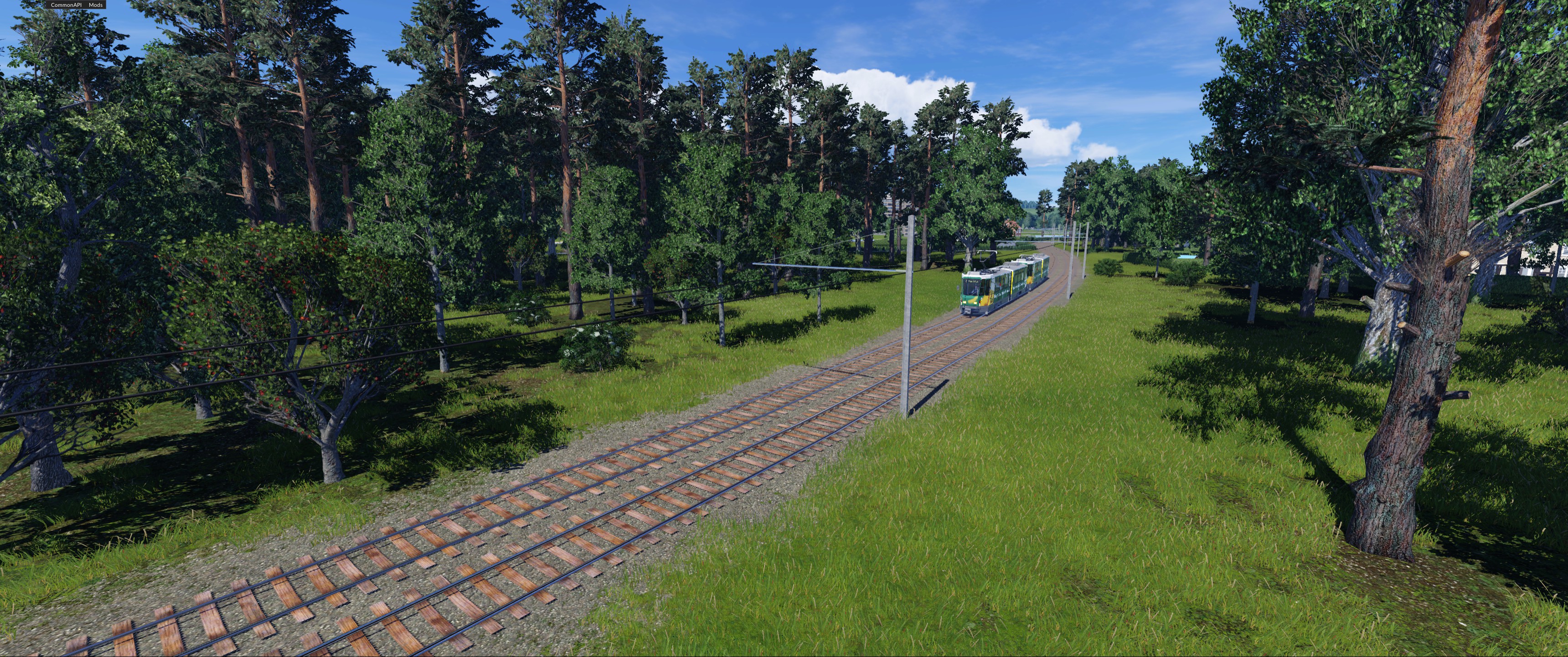 Mitten durch den Wald