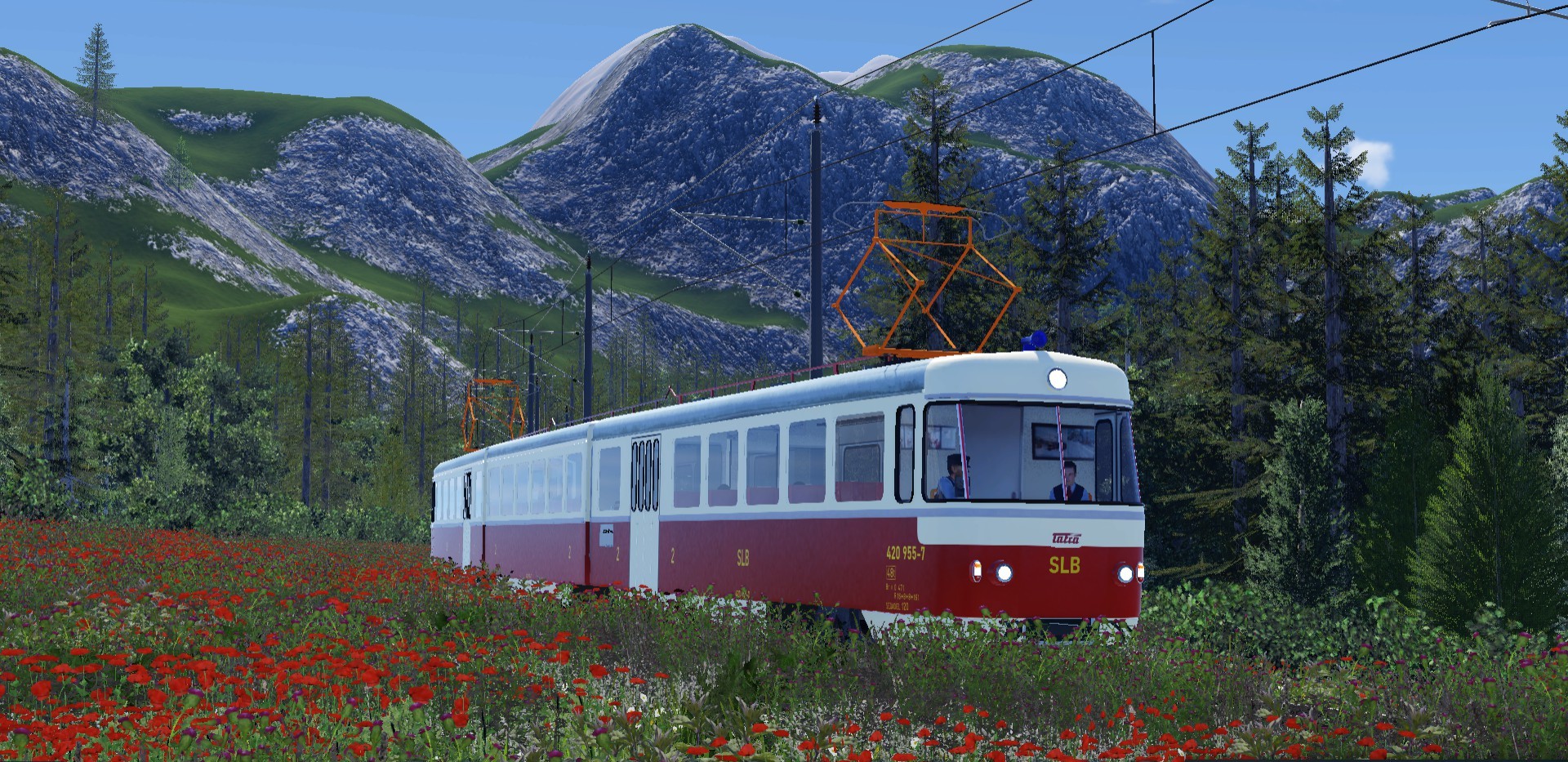 Neue Heimat auf schmaler Spur