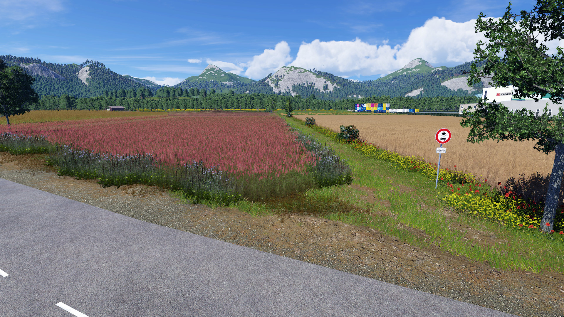 Meine erste selbst gestaltete Landschaft – gut oder schlecht? 😅