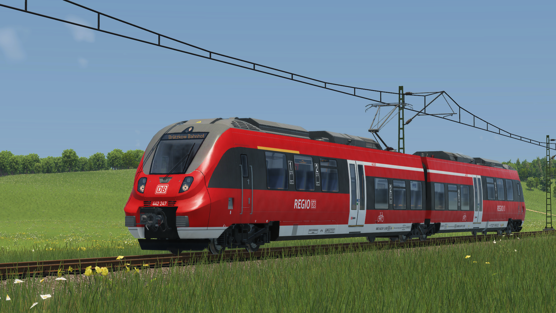 Baureihe 442 - Hamsterbacke