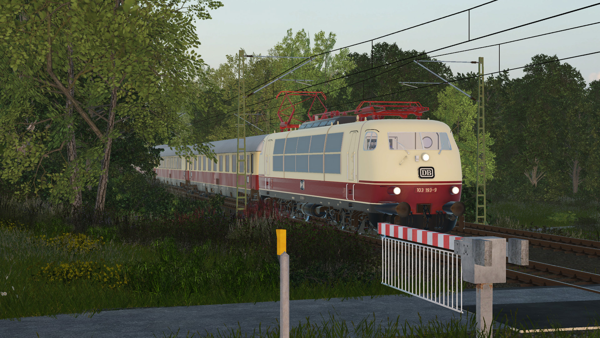 BR 103 mit TEE Sonderzug
