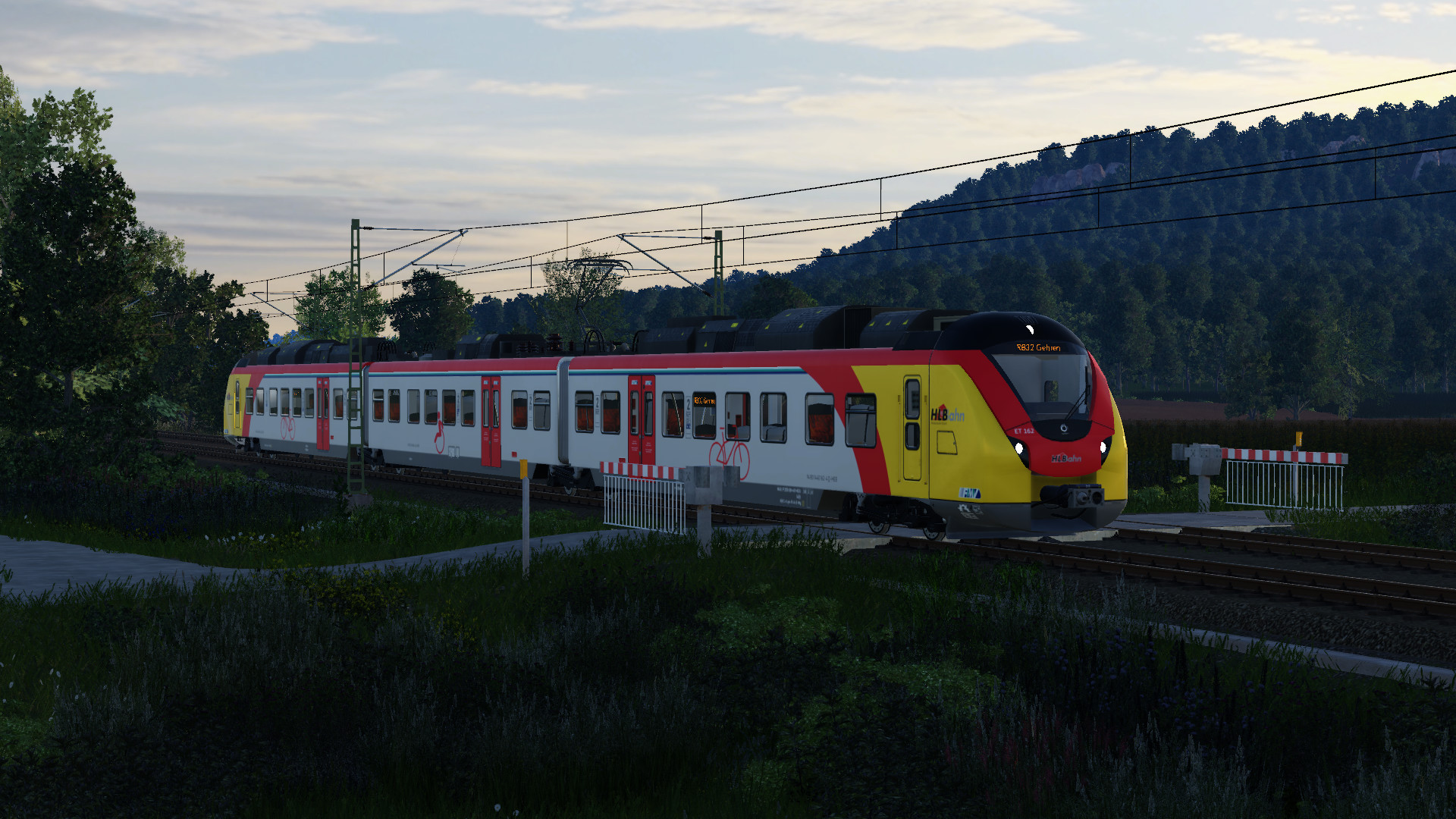 HLB Grinsekatze in der Dämmerung