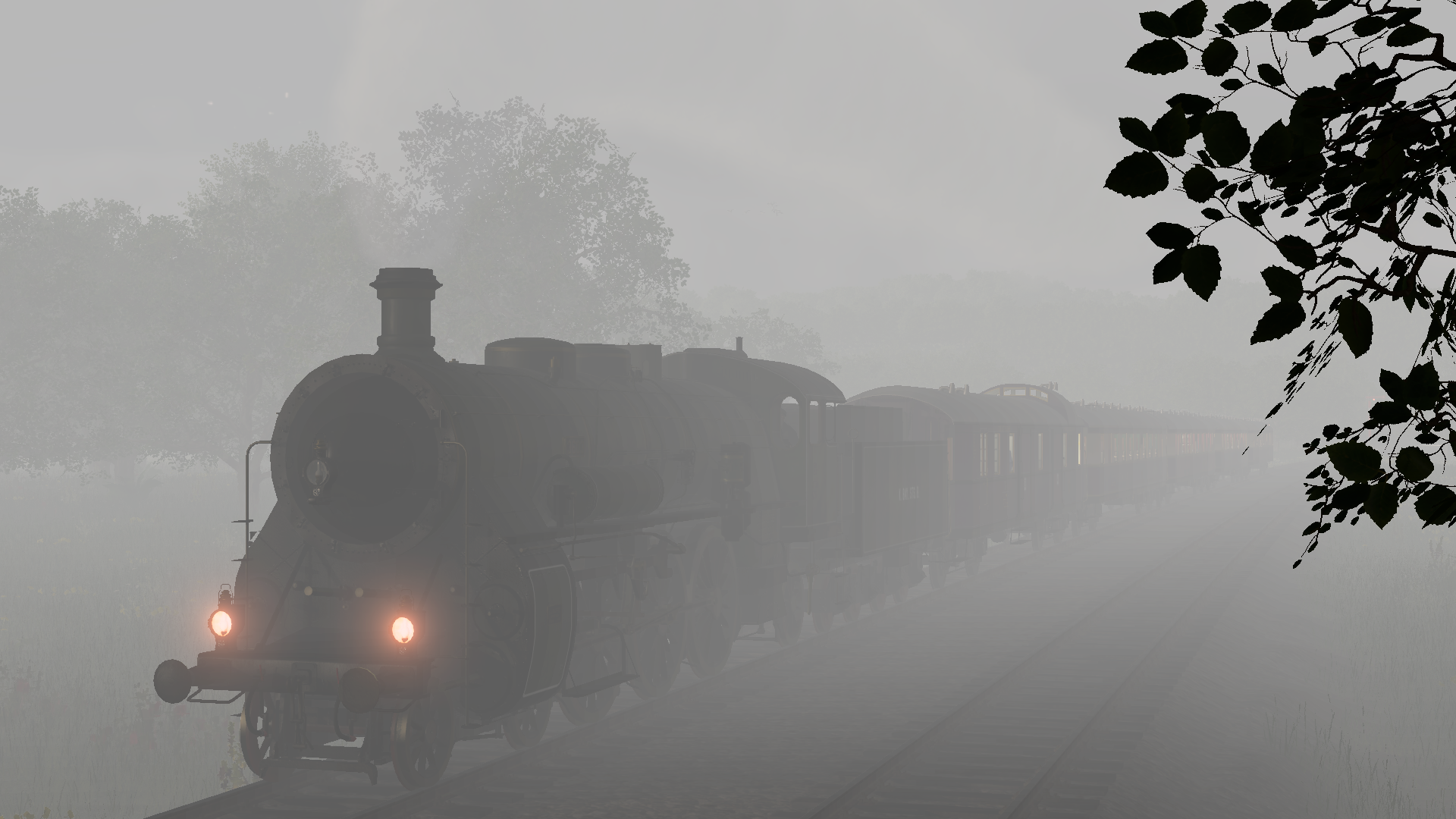 Im Rheingold durch den Nebelmorgen