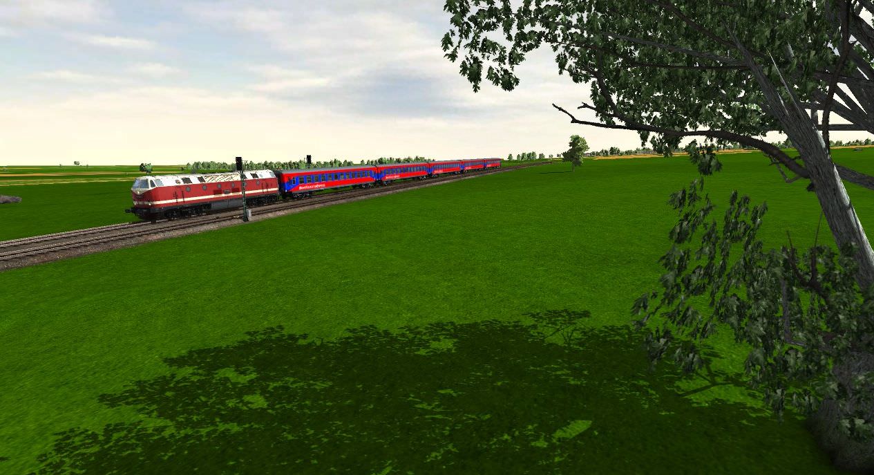 BTE Sonderzug mit 119