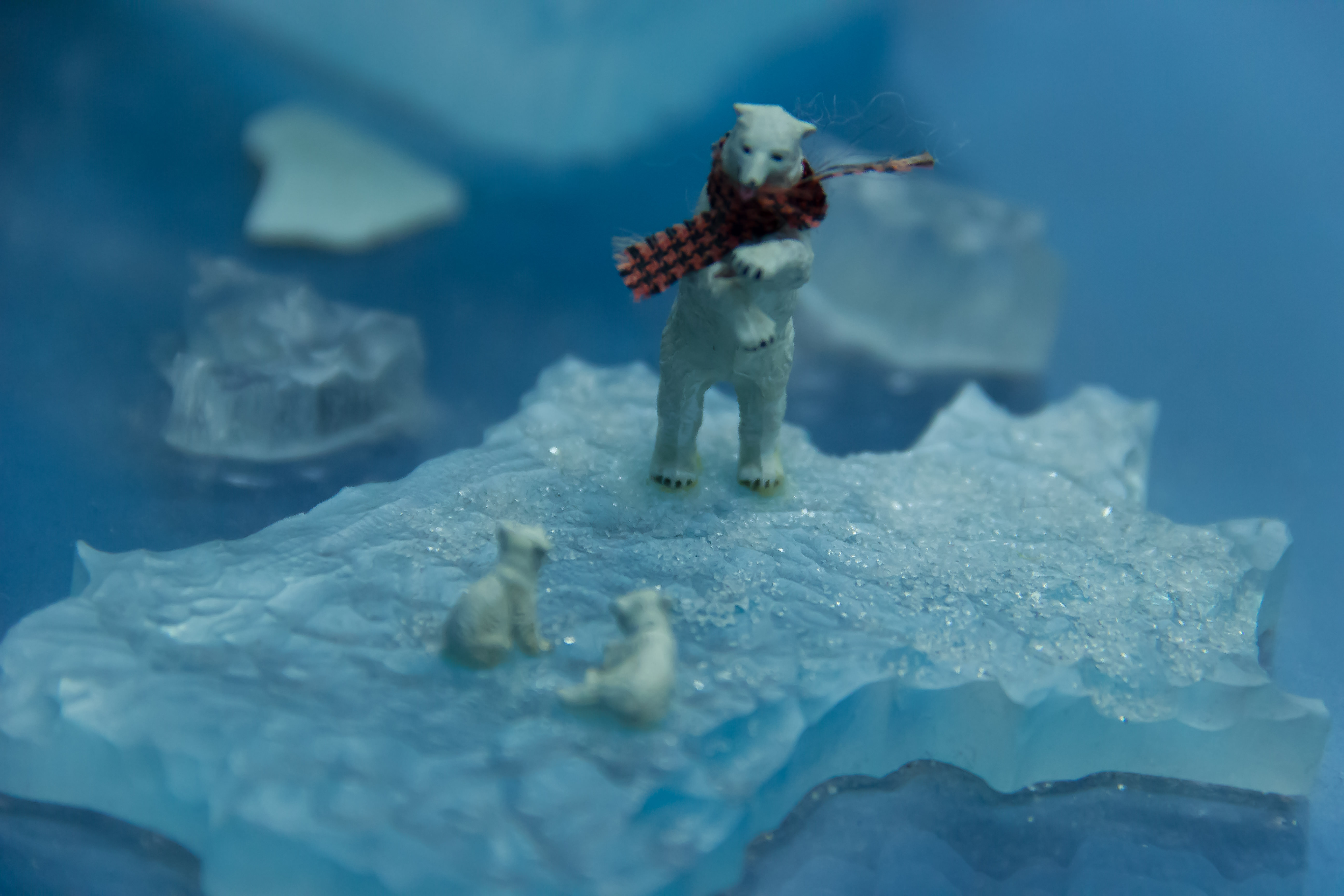Ratet was der Eisbär in seinen Pfoten hält.