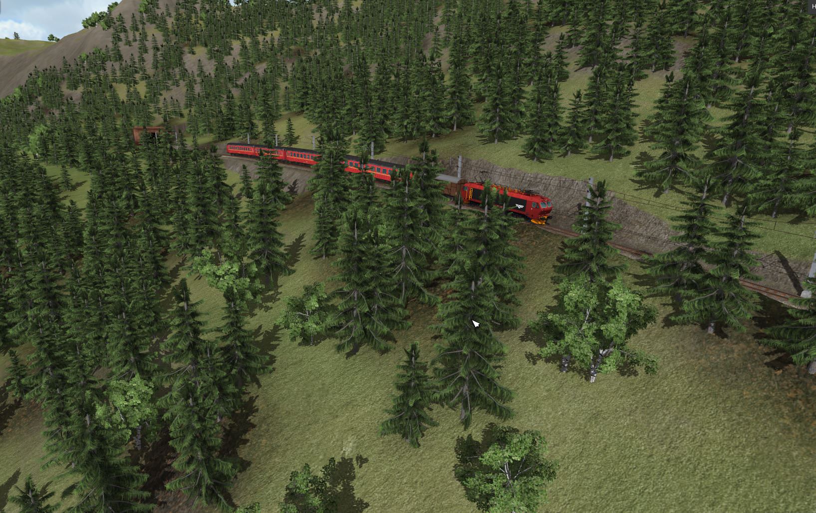 Im Norwegischen Wald