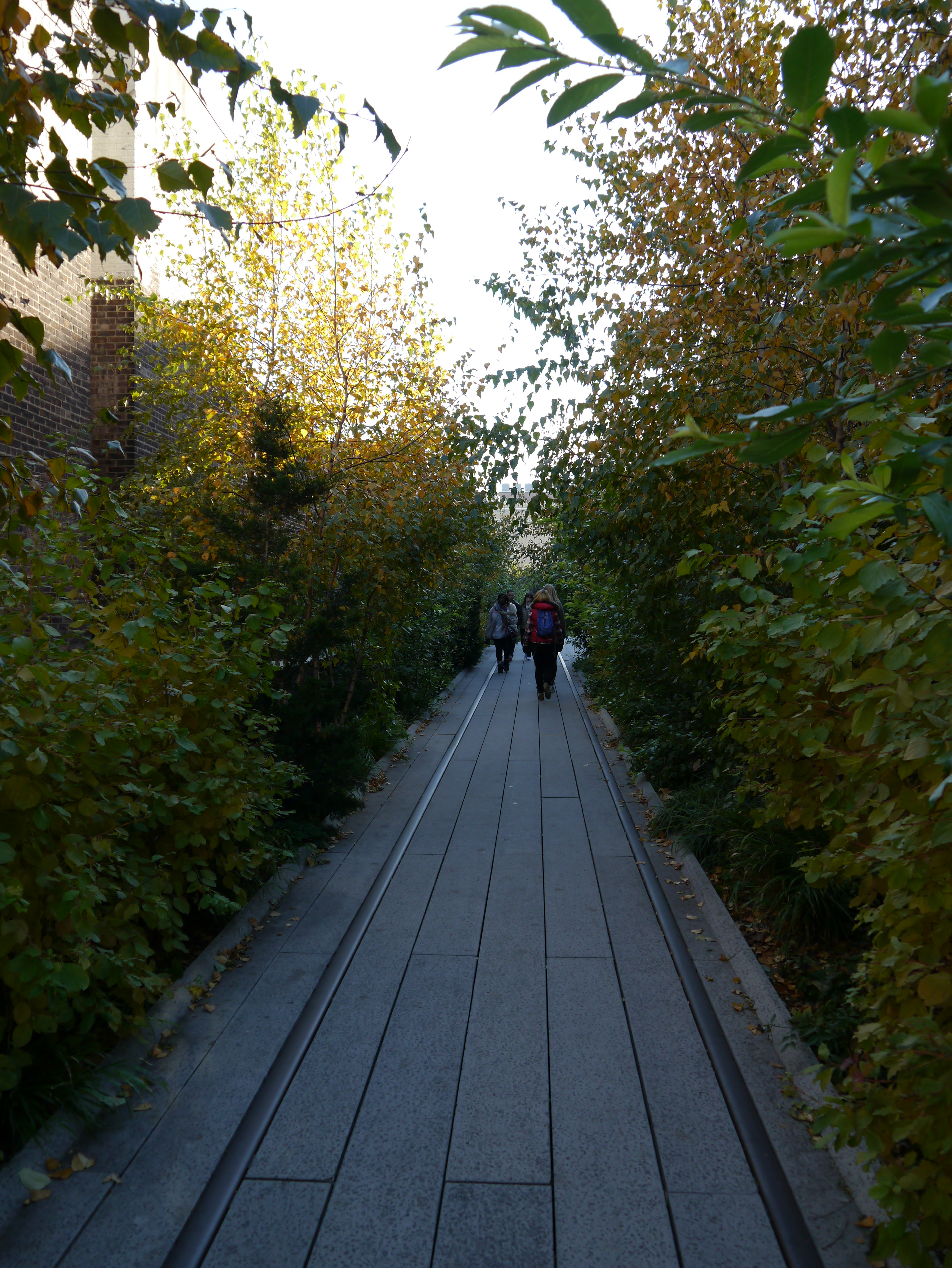 High-Line-Park in NYC