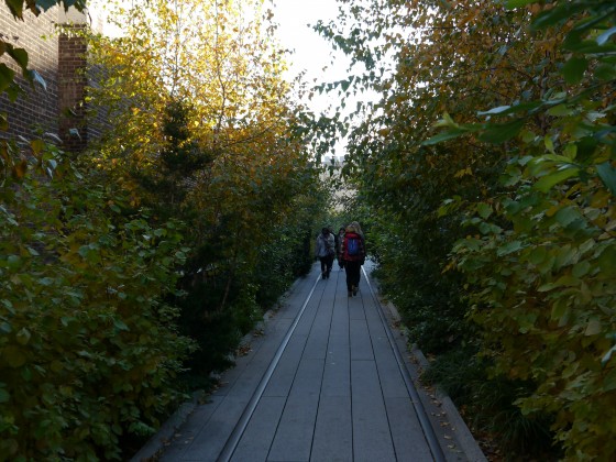 High-Line-Park in NYC