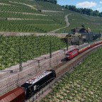 Weinberge im Moseltal
