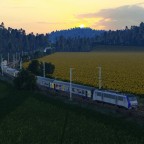 Random Photo