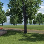 Heitern redress phase 1 WIP Südseite 2