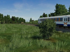 NE81 im Tal (Sommer) 3
