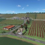 Weinberg Baufortschritt