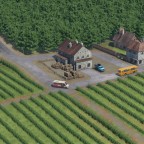 Erste Versuche Weinberge