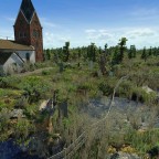 Wer kennt Ihn nicht.. den Lebens bejaenden Friedhof im Sumpf