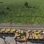 Banana Plantation