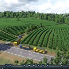 Landschaftsgestaltung