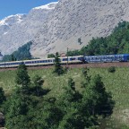 Begegnung an der Baumgrenze