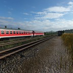 Screenshotcontest - Runde: Juni 2020, NICHT final | #7
