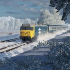 Class 50
