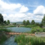 Haldenweiher Ansichten mit der Bach einmündung.