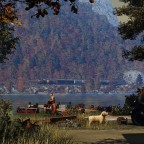 [TpF1] A beautiful evening on the lake