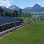 Weisstannen 01