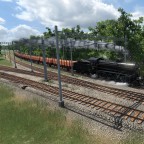Elefant unterwegs 2