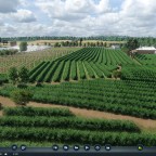 Landschaftsgestaltung